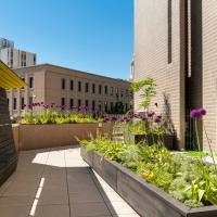 View of the garden in bloom, with tall plants with purple buds