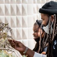 A man and a woman interact with the plants in the garden