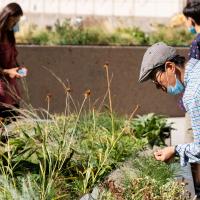 A group of visitors experiencing the garden for the first time