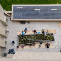 Overhead outdoor view of people working in the Sensory Garden