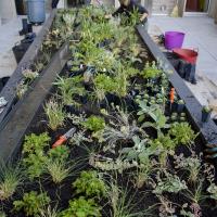 Rectangular view of a large planter with two women at the far end working on it