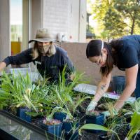 Two women working with planters in the fresh soil