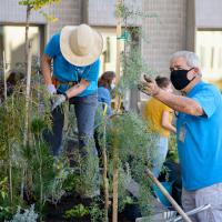 An older couple working on planting trees in the garden