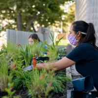 A young woman works on tending the garden