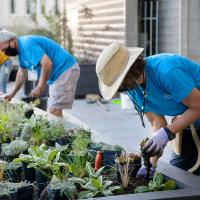 A row of volunteers works on building the garden