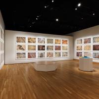 part of Fazal Sheikh exhibition with rows of photos on three walls