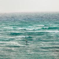 Man wing surfing on bright blue ocean waters