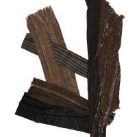 Pieces of bark