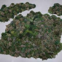 Patch of mossy grass artwork