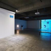 Video installation of palm trees in large empty gallery