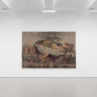 Gallery view of an array of bodies melding together to resemble a fire