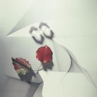 Untitled by György Kepes
