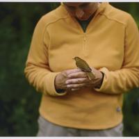 A woman in a light orange fleece jacket holds her hand together in front of her while facing the camera. A small yellow bird is perched on her hands facing the woman.