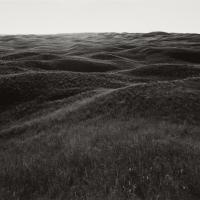 Black and white photo of a rolling grassy landscape.