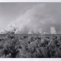 Black and white photograph a large cloud of smoke on the horizon above a vast field of wheat-like grass.