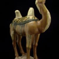 Camel statue from China, Tang dynasty, 700s