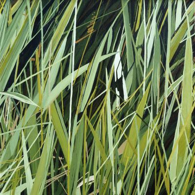 American Grasslands: Prairie, Pasture, Crop and Lawn, Karen Kitchel, 1997, oil paint