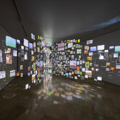 Gallery view of a large video installation