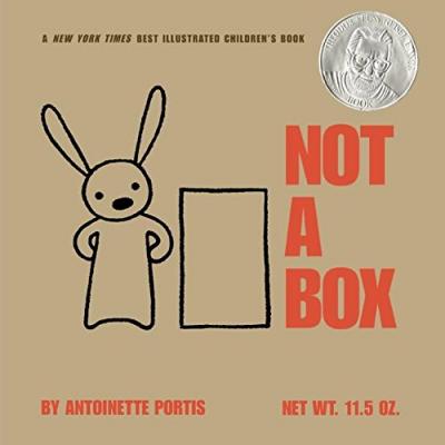 Book cover of Not a Box by Antoinette Portis