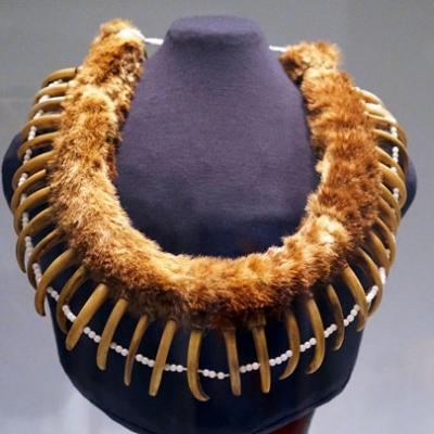 bear claw necklace