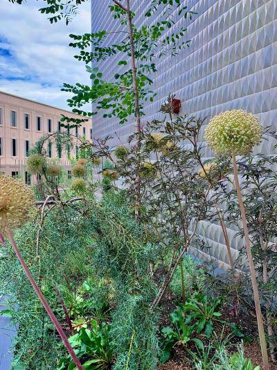 Trees and plants in the wood planting bed with the Martin Building tiles and a building in the background