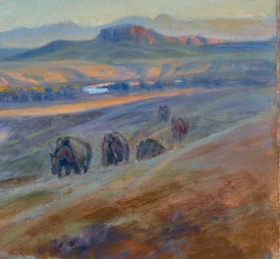 Pack of buffalo walkng through the green plains