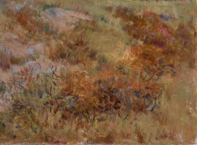 The green vegetation on the plains