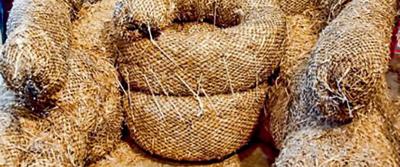 Close-up view of coils of straw