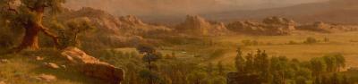 Rock plateau overlooking the forest