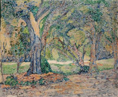 Forest landscape of lush green trees
