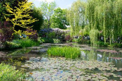 waterlily pond (with Japanese bridge covered in wisteria in background) in Giverny