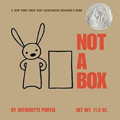 Book cover of Not a Box by Antoinette Portis