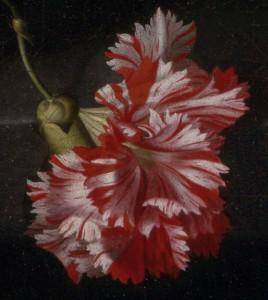 Bouquet of Flowers in a Vase