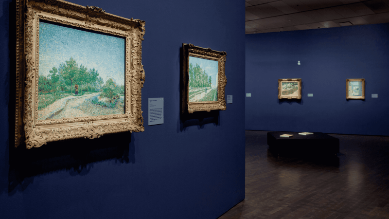 Sharing Van Gogh's Creative Process | Denver Art Museum