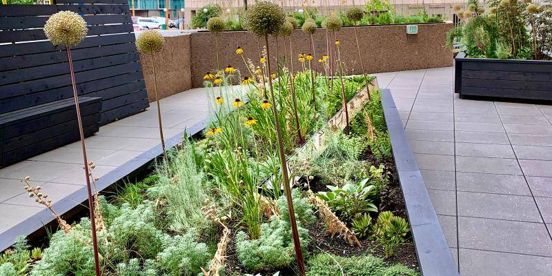 Sensory Garden Planting Design | Denver Art Museum