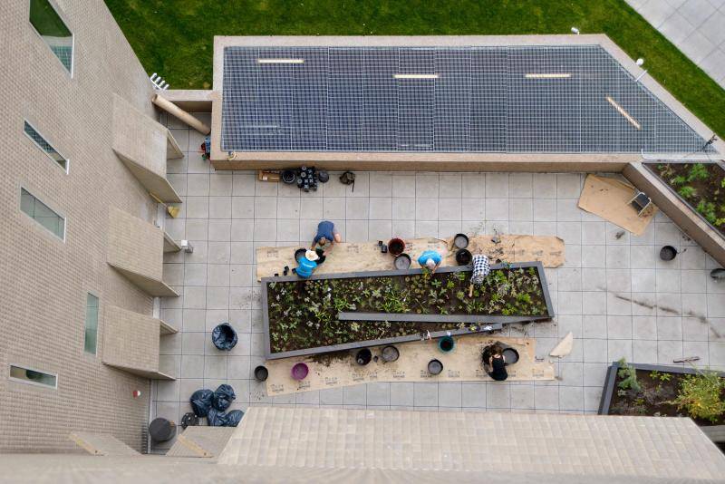 Overhead outdoor view of people working in the Sensory Garden