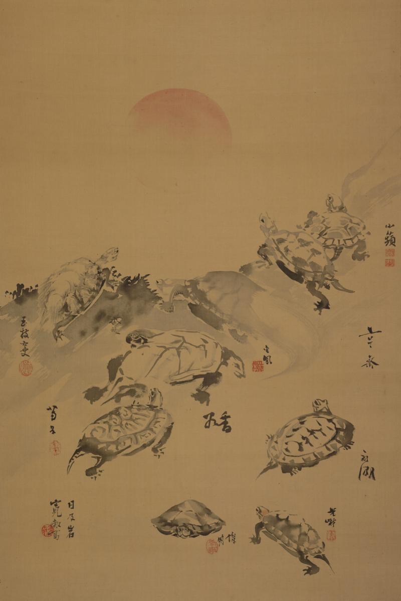 Hanging scroll of ink drawings of turtles