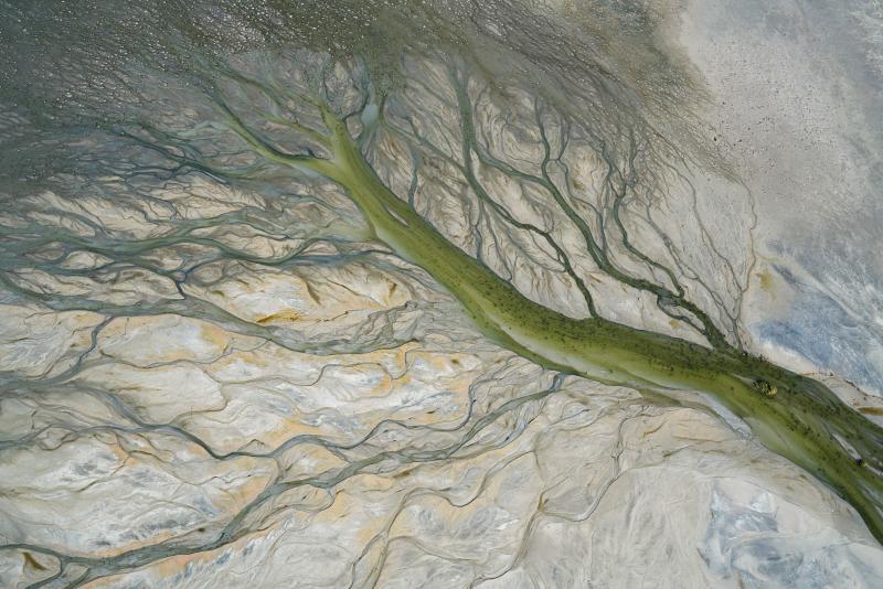 Abstract aerial view of the Great Lake region with strands of earth that resembles veins
