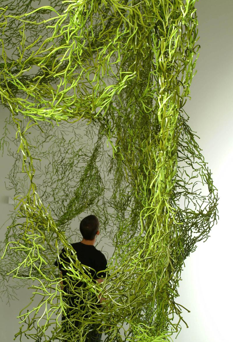 Man intertwined in green hanging branches