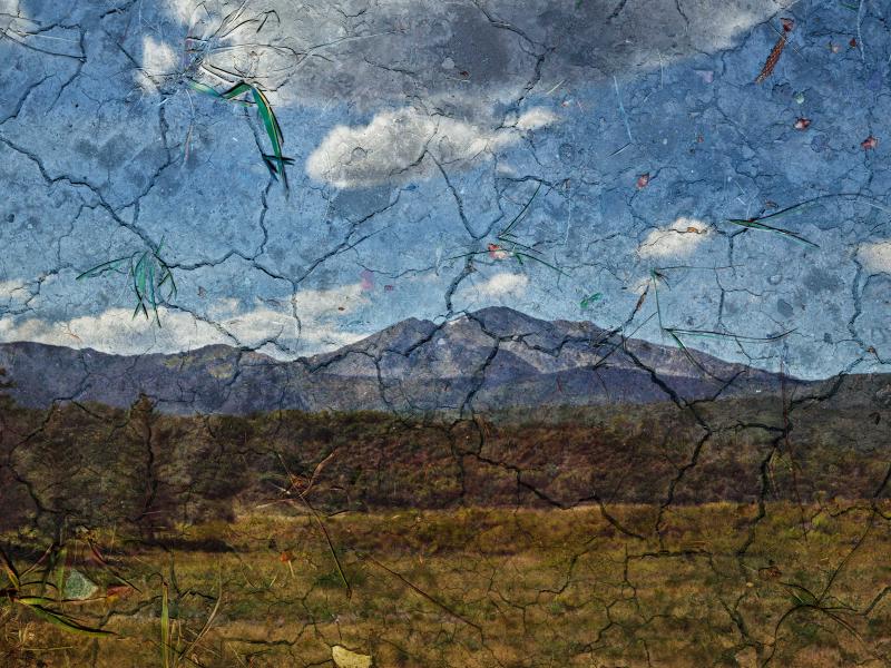 Image of a snowmass mountain in Colorado with brush in the foreground