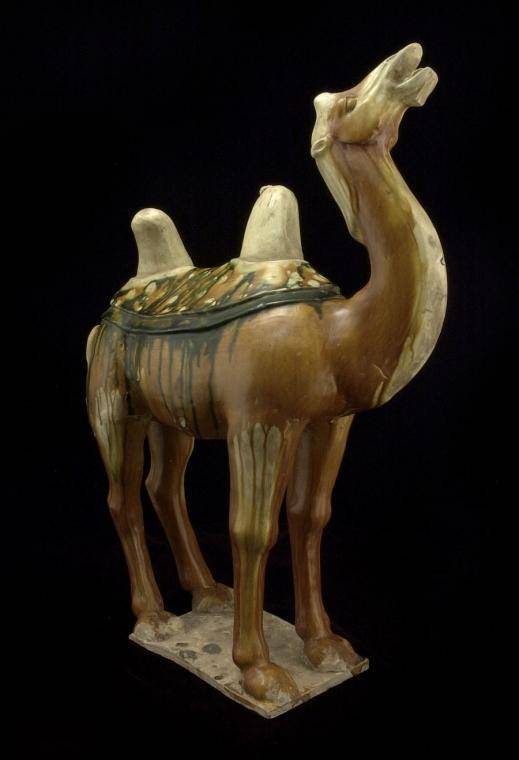 Camel statue from China, Tang dynasty, 700s