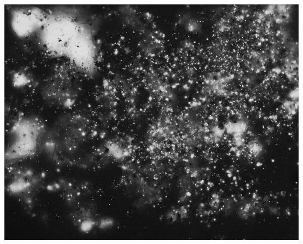 Shimpei Takeda, Trace #7, Nihonmatsu Castle, 2012. Gelatin silver print. Courtesy of the Artist. © Shimpei Takeda.